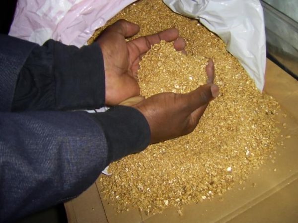 Pure Gold Dust - Image 3